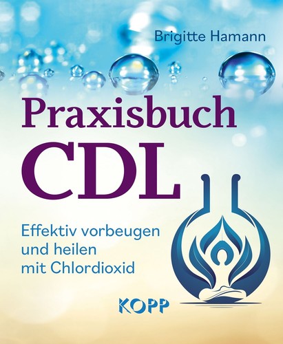 Praxisbuch cdl brigitte - praxisbuch,