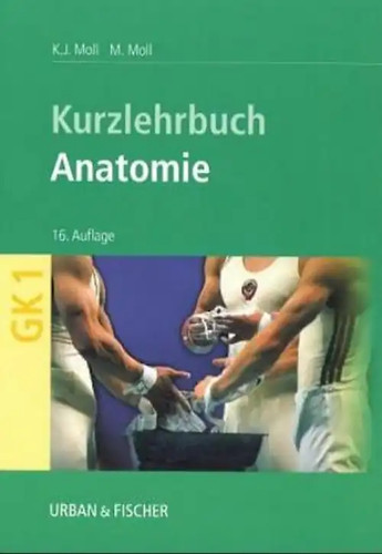 Anatomie kurzlehrbuch zum - anatomie.,