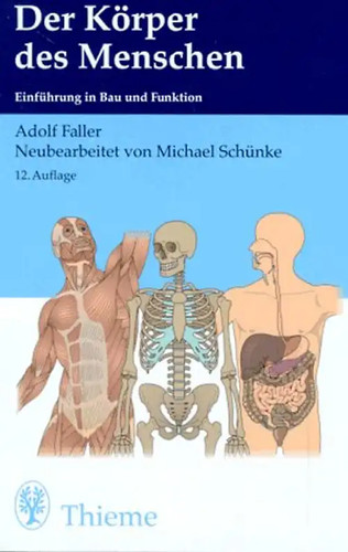 Der körper des menschen - der,