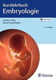 Kurzlehrbuch embryologie von - kurzlehrbuch,