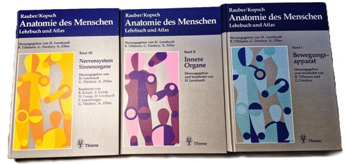 Rauber kopsch anatomie - anatomie, des